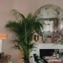 Pembridge Place | Dining room  | Interior Designers